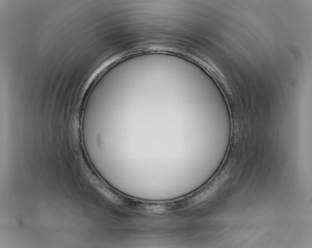 X0000111360798200907100955