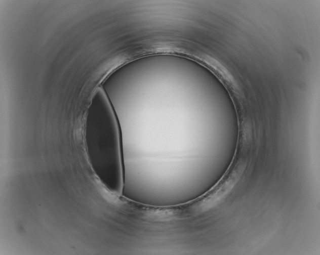 X0000111360801200907100955
