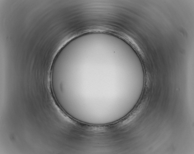 X0000111360802200907100955