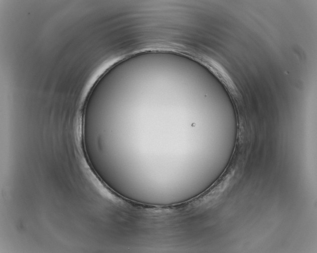 X0000111360804200907100955