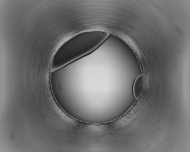 X0000111360805200907100955