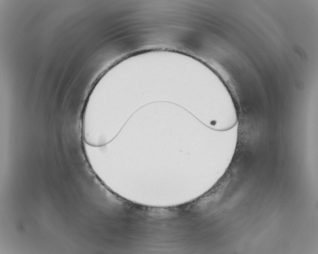 X0000111360807200907100955