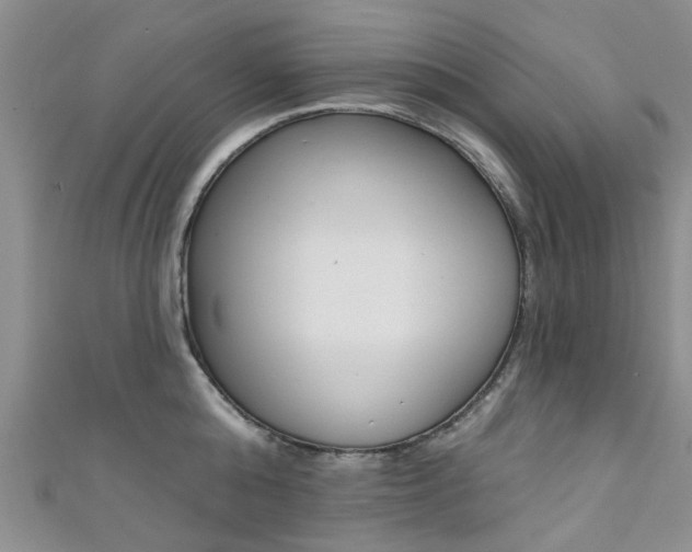 X0000111360808200907100955