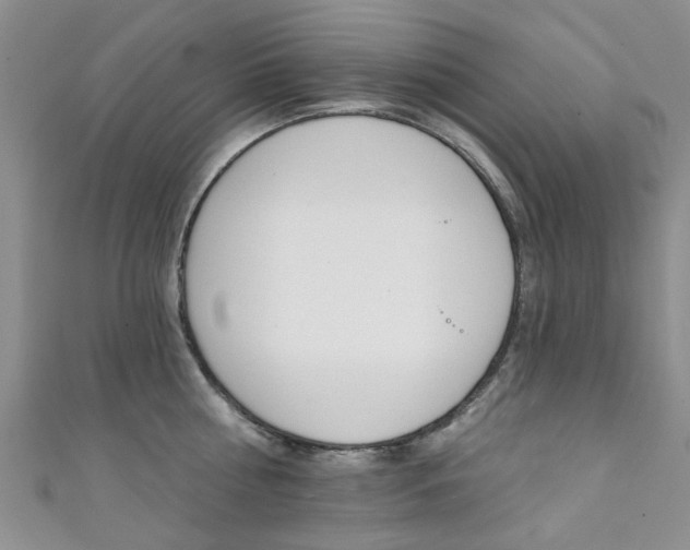 X0000111360810200907100955