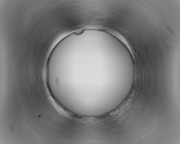 X0000111360811200907100955