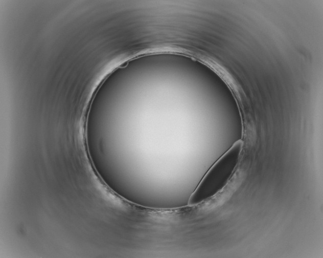 X0000111360813200907100955