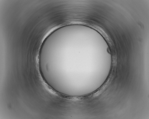 X0000111360814200907100955
