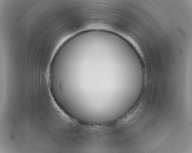 X0000111360815200907100955