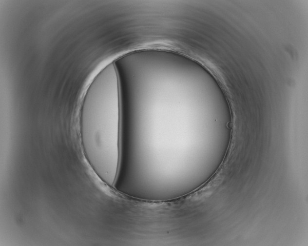 X0000111360816200907100955