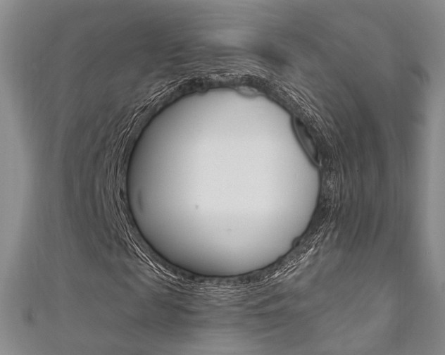 X0000111360817200907100954