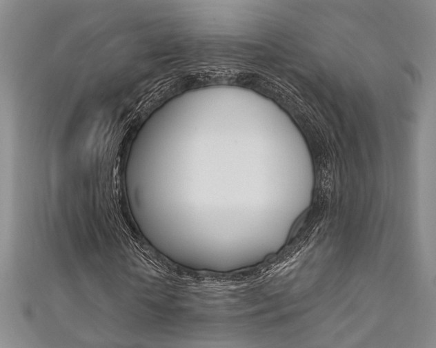 X0000111360818200907100954