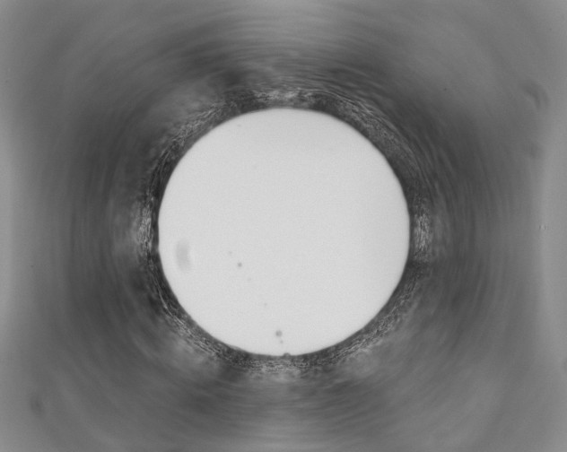 X0000111360820200907100954
