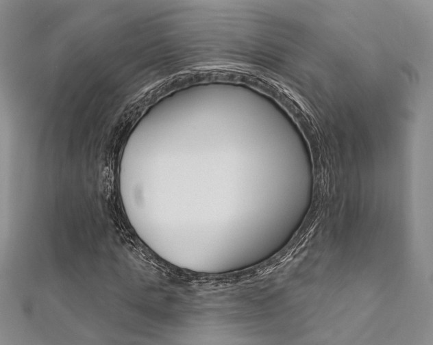X0000111360821200907100954