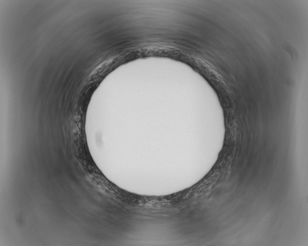 X0000111360824200907100954