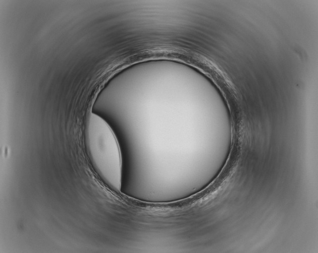 X0000111360825200907100954