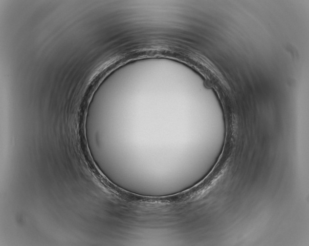X0000111360826200907100954