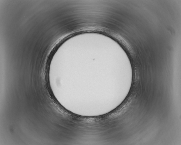 X0000111360828200907100954