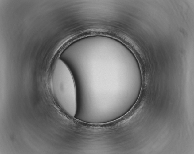 X0000111360829200907100954