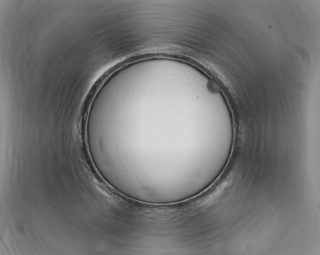 X0000111360830200907100954