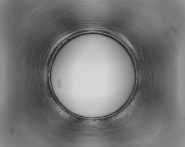 X0000111360831200907100954