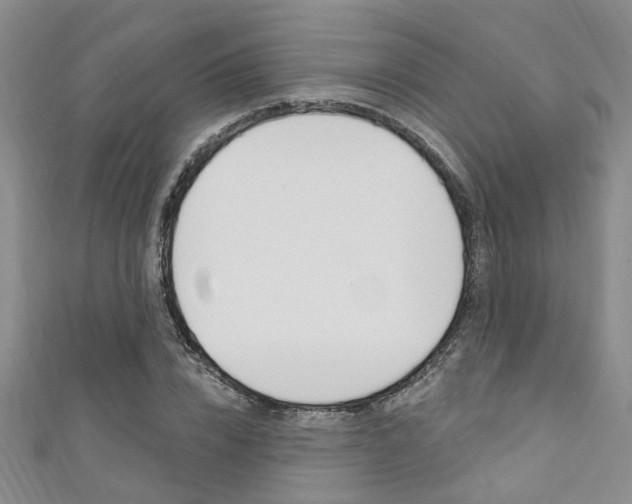X0000111360832200907100954