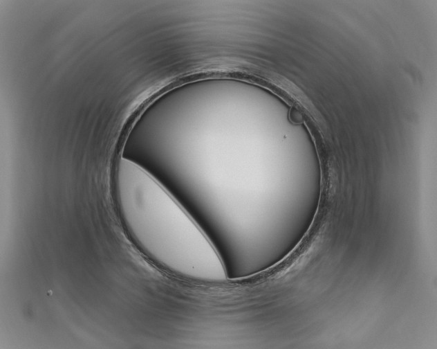 X0000111360834200907100954