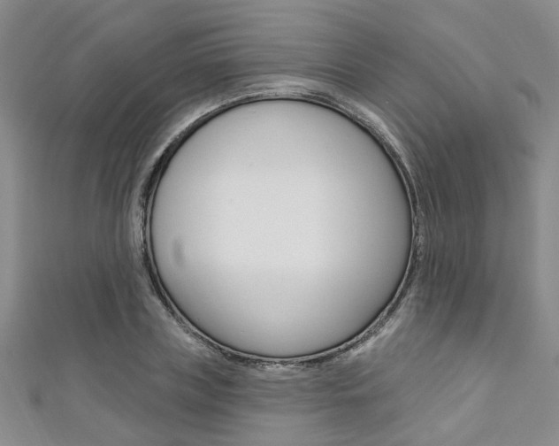 X0000111360835200907100954