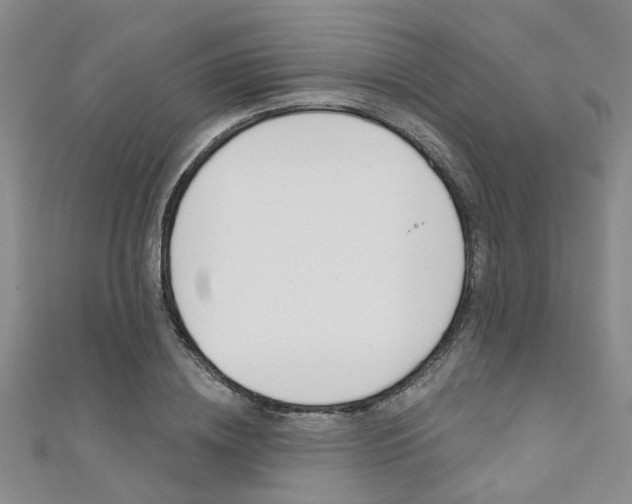 X0000111360836200907100954