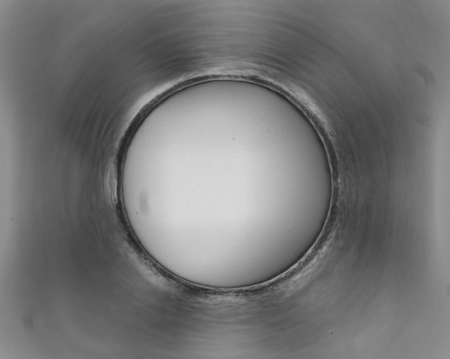X0000111360838200907100954