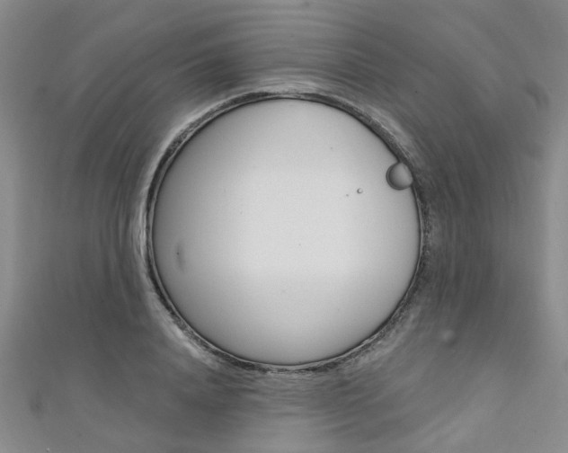 X0000111360840200907100954