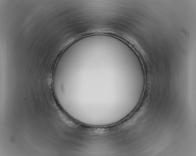 X0000111360841200907100954