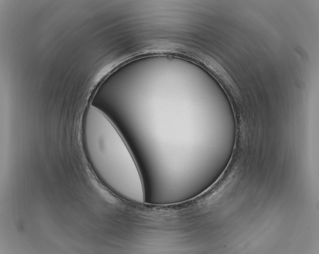 X0000111360842200907100954