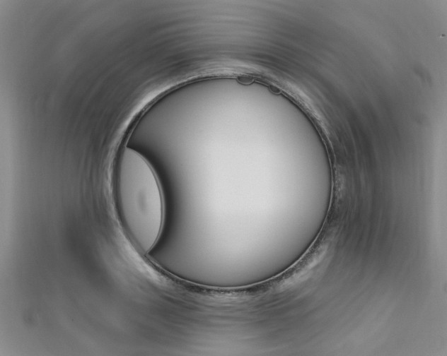 X0000111360843200907100954