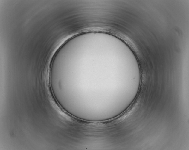 X0000111360844200907100954