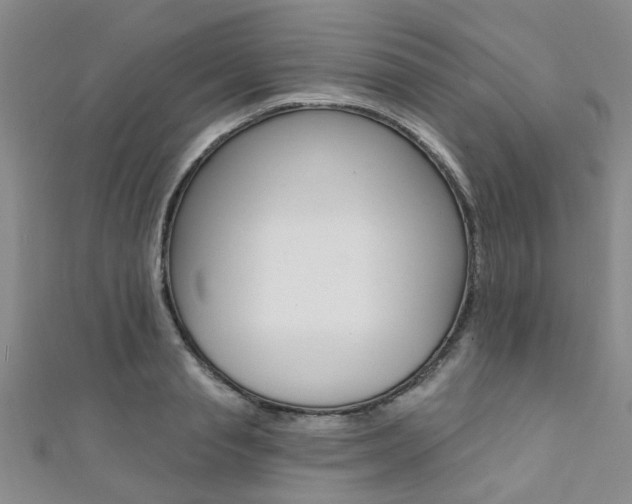 X0000111360845200907100954