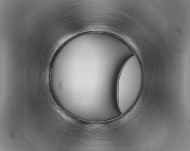 X0000111360846200907100954