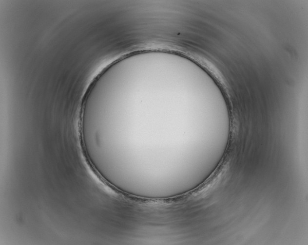 X0000111360847200907100954