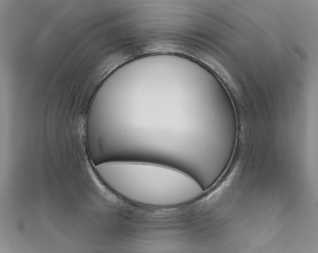 X0000111360849200907100954