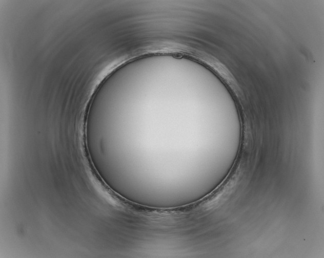 X0000111360850200907100954