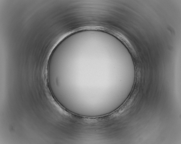 X0000111360852200907100954