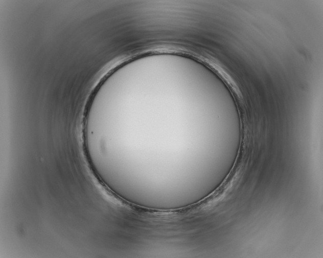 X0000111360853200907100954