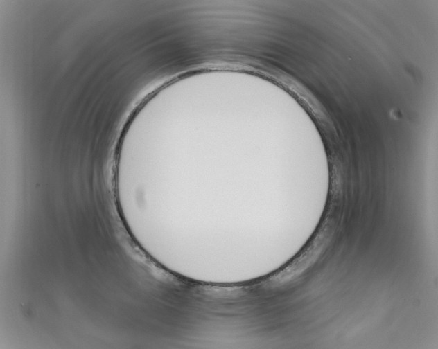 X0000111360856200907100955