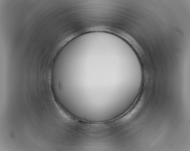 X0000111360857200907100955