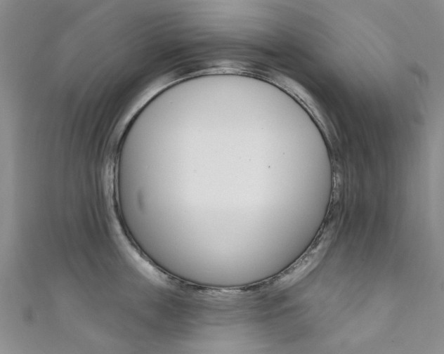 X0000111360859200907100955