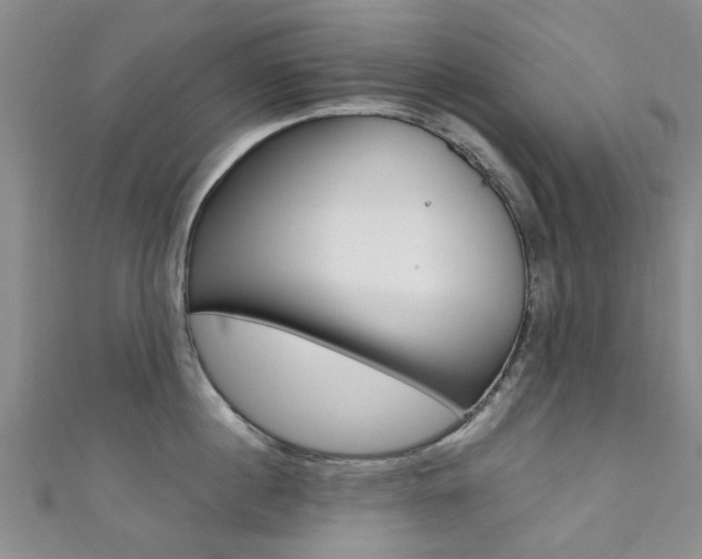 X0000111360860200907100955