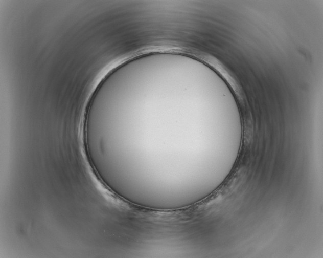 X0000111360861200907100955