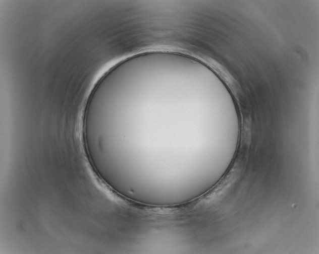 X0000111360862200907100955