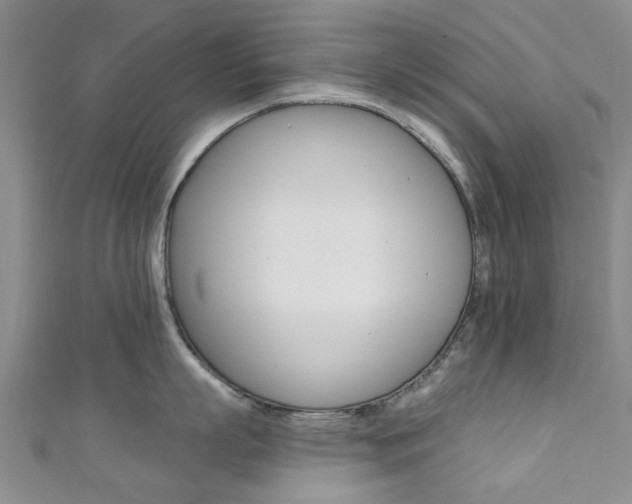 X0000111360863200907100955