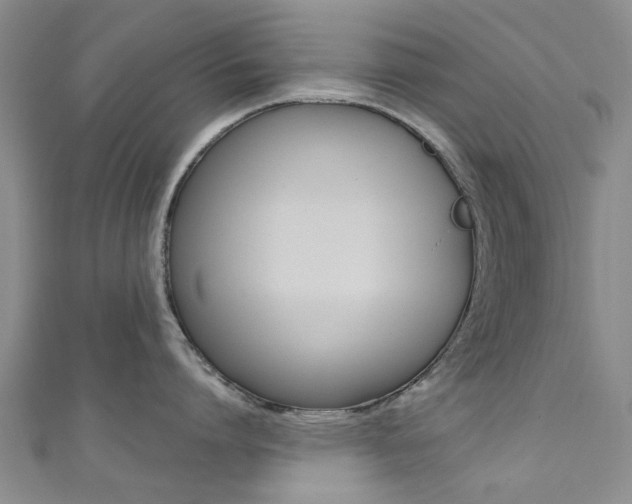 X0000111360864200907100955
