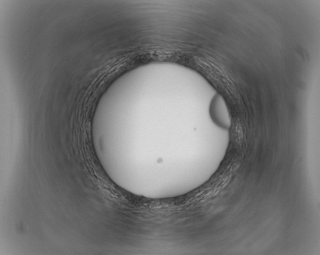 X0000111360865200907100954